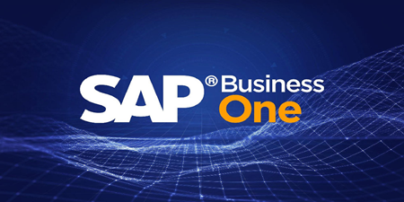SAP B1系統(tǒng)設置和管理——數(shù)據(jù)所有權權限 