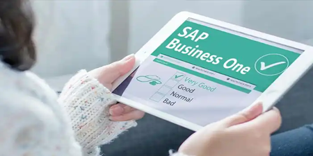 SAP B1 內(nèi)部錯誤，錯誤代碼對應(yīng)的原因說明