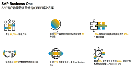 SAP B1 10.0 - 無法獲取訪問令牌，請(qǐng)與管理員聯(lián)系