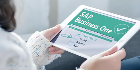 SAP B1 水晶報(bào)表打印格式，預(yù)覽時(shí)系統(tǒng)崩潰